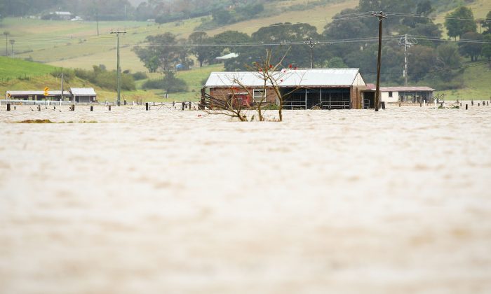 Úc: Lũ lụt ở tiểu bang New South Wales gây thiệt hại mùa màng 190 triệu USD