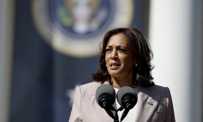 Giám đốc FEMA phản hồi nhận xét của PTT Kamala Harris về việc ưu tiên cho ‘cộng đồng da màu’