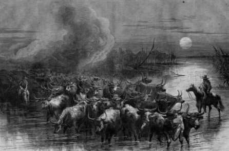 Chuyến di cư gia súc dài nhất trong lịch sử của ông Nelson Story, từ tiểu bang Texas đến tận tiểu bang Montana