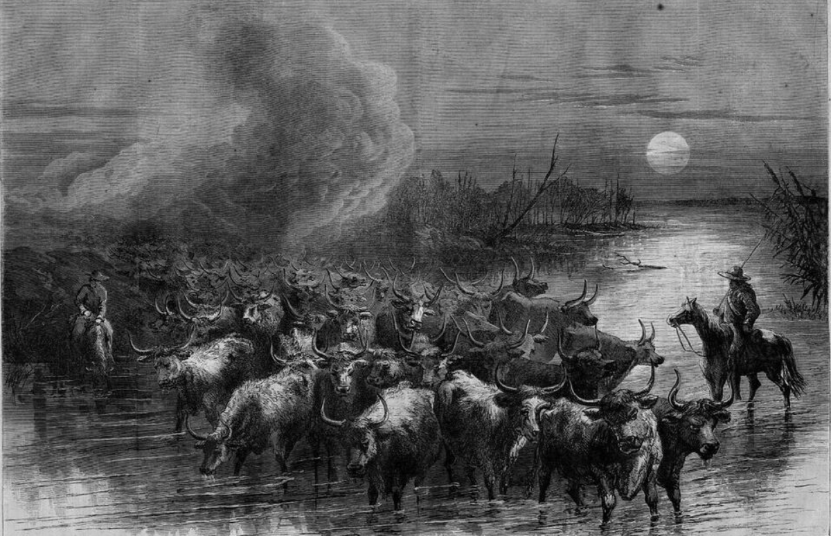 Chuyến di cư gia súc dài nhất trong lịch sử của ông Nelson Story, từ tiểu bang Texas đến tận tiểu bang Montana
