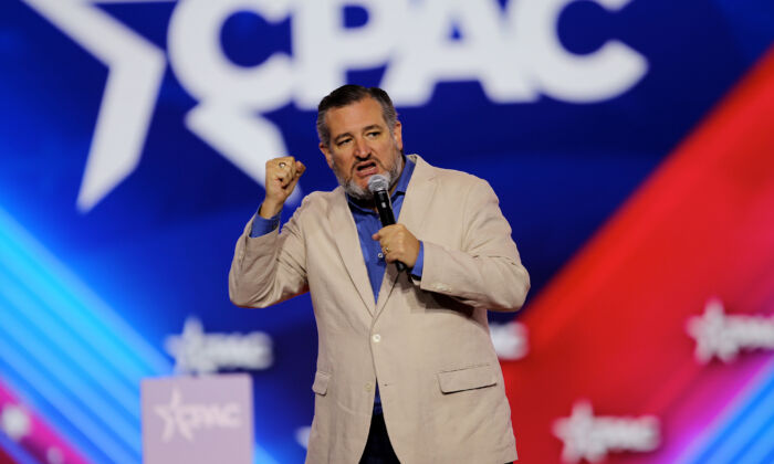 TNS Ted Cruz: Bầu cử giữa kỳ sẽ là ‘sóng thần đỏ,’ Đảng Dân Chủ chỉ có thể tập trung vào vấn đề phá thai
