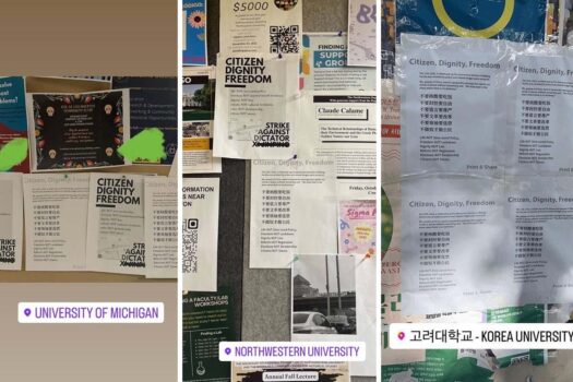 ‘Hãy để thế giới biết lập trường của chúng ta’: Sinh viên Hoa kiều ủng hộ ‘người biểu tình trên cầu’ ở Bắc Kinh
