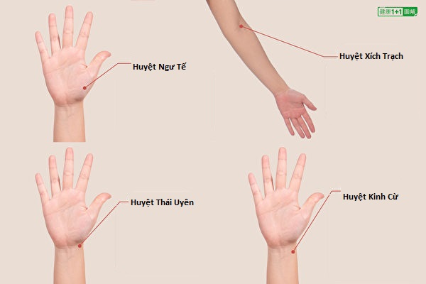 Mất ngủ, khó ngủ? Thực liệu Trung Y và xoa bóp huyệt vị có thể giải quyết