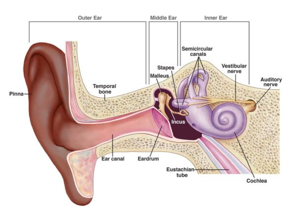 Mất thính lực do tuổi tác