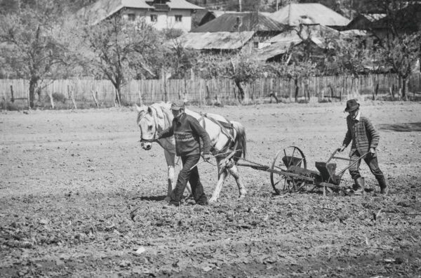 Bình phẩm sách: 'Cách để trở thành một người nông dân: Hướng dẫn của người xưa về công việc đồng áng'