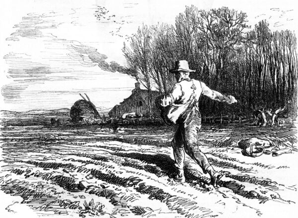 Bình phẩm sách: 'Cách để trở thành một người nông dân: Hướng dẫn của người xưa về công việc đồng áng'