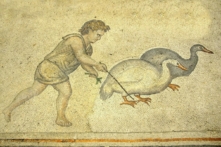 Bình phẩm sách: ‘Cách để trở thành một người nông dân: Hướng dẫn của người xưa về công việc đồng áng’