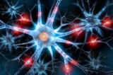 Kết quả nghiên cứu tế bào thần kinh phát sáng hứa hẹn phương pháp điều trị đau không opioid 