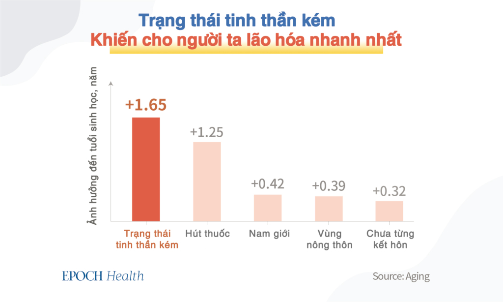 Nguyên nhân hàng đầu gây lão hóa nhanh