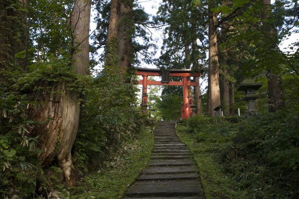 Chuyến du ngoạn Nhật Bản theo bước chân của thi sĩ Basho