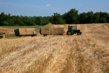 Một máy kéo vận chuyển những kiện rơm sau vụ thu hoạch để dọn đất lấy chỗ trồng đậu tương, trong vụ thu hoạch lúa mì ở Shelbyville, Kentucky, hôm 29/06/2021. (Ảnh: Amira Karaoud/Reuters)