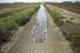 Nước thủy lợi chảy dọc theo một con mương khô cạn giữa các trang trại trồng lúa ở Richvale, California, hôm 01/05/2014. (Ảnh: Jae C. Hong/AP Photo)