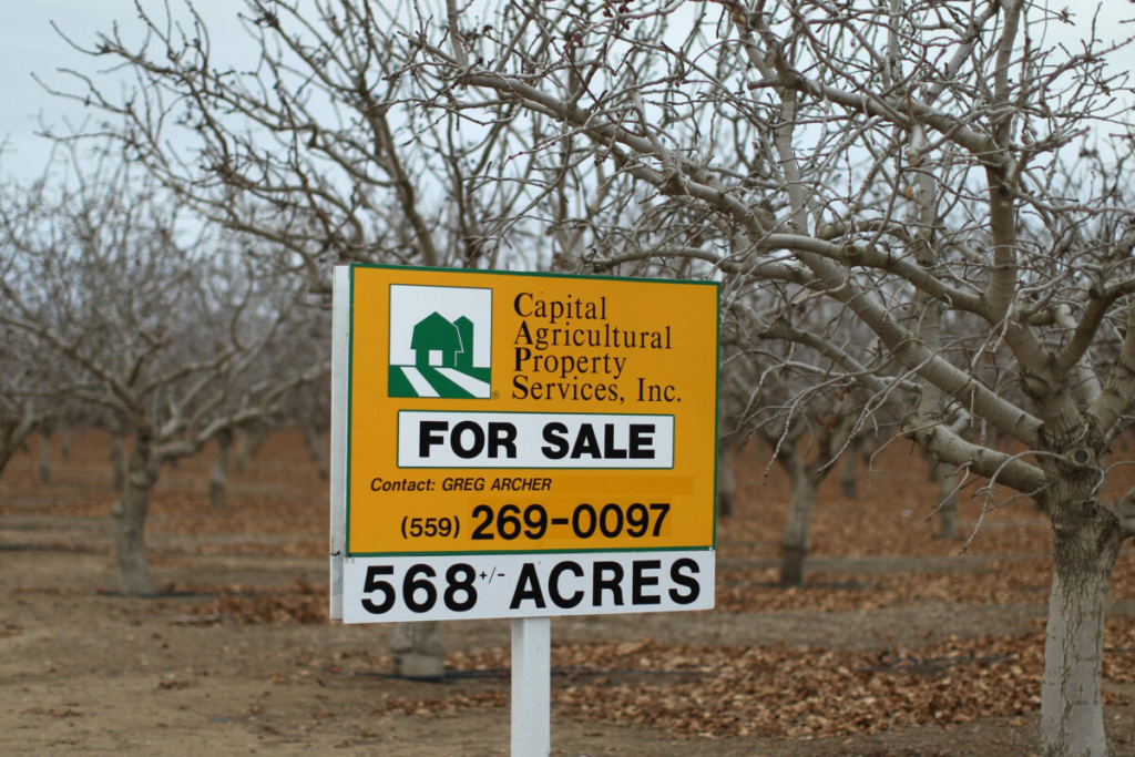Một vườn cây ăn quả được rao bán gần Bakersfield, California, hôm 06/02/2014. (Ảnh: David McNew/Getty Images)
