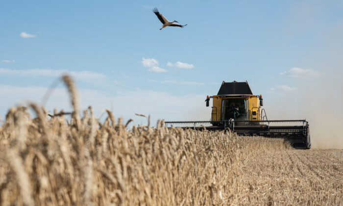 Hoa Kỳ và cuộc chiến toàn cầu với nông dân đang leo thang trong bối cảnh thiếu lương thực