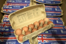 Anh: Cúm gia cầm, lạm phát, và giá bán lẻ thấp gây bất lợi cho các nhà sản xuất trứng