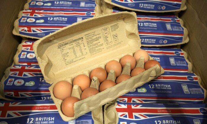 Anh: Cúm gia cầm, lạm phát, và giá bán lẻ thấp gây bất lợi cho các nhà sản xuất trứng