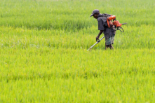 Sri Lanka và ESG: Một trường hợp điển hình