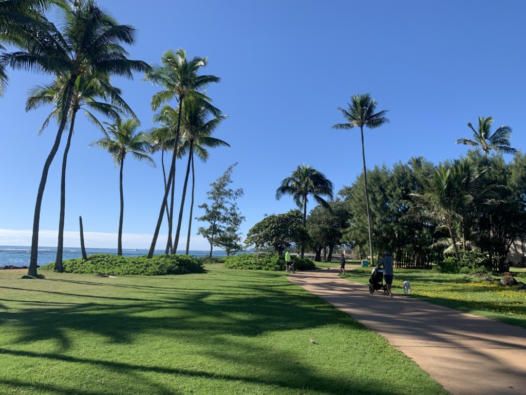 Khung cảnh trên Đường Mòn Ven Biển Kauai. (Ảnh: Janna Graber)