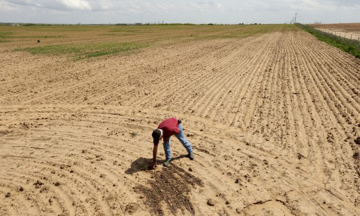 Các nhà lập pháp muốn cấm các công ty Trung Quốc mua đất nông nghiệp Hoa Kỳ do mối đe dọa về ‘an ninh quốc gia’