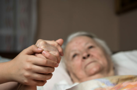 Chuyển đổi mô hình: Từ tìm kiếm điều trị đến chấp nhận sự ra đi