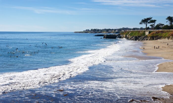 Một vòm đá sa thạch ở cuối bãi biển Its Beach thân thiện với chó ở Santa Cruz, California. (Ảnh: Đăng dưới sự cho phép của Karen Gough)