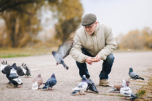 Lắng nghe tiếng chim hót không chỉ có ích cho đôi tai (Ảnh: Shchus/Shutterstock)