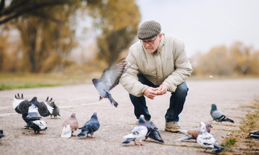 Lắng nghe tiếng chim hót không chỉ có ích cho đôi tai (Ảnh: Shchus/Shutterstock)