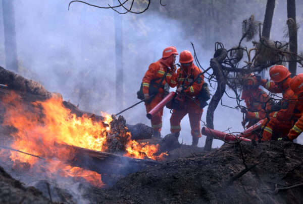 Hồ Nam: Cháy rừng tàn phá ít nhất 2 thị trấn, 2 người thiệt mạng