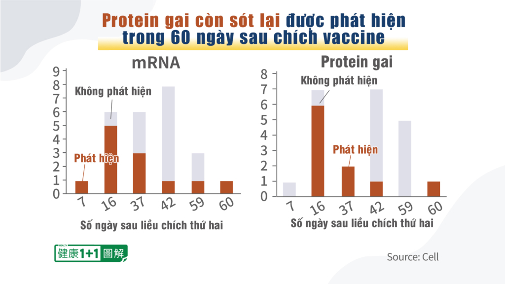 CHUYÊN ĐỀ PROTEIN GAI: Tổn thương & Điều trị (P.2)