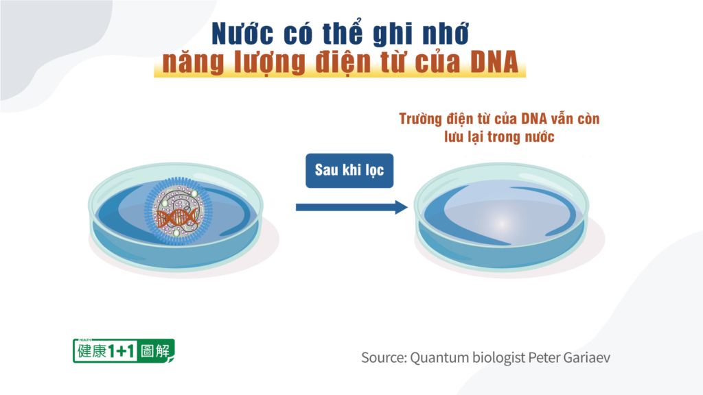 CHUYÊN ĐỀ PROTEIN GAI: Tổn thương & Điều trị (P.2)