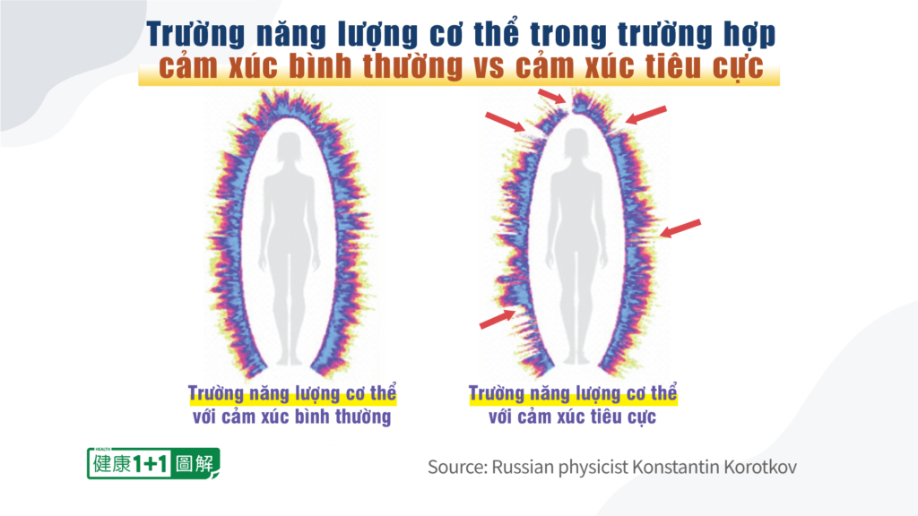 CHUYÊN ĐỀ PROTEIN GAI: Tổn thương & Điều trị (P.2)