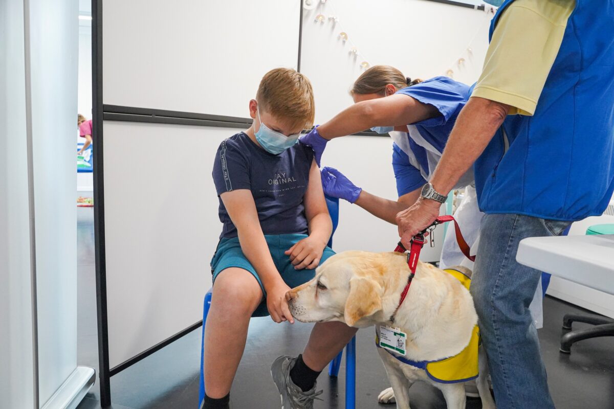 Bé Jack Gregory từ Cornwall đang vuốt ve chú chó trị liệu labrador 7 tuổi – Molly, trong khi chích vaccine COVID-19 tại trung tâm chích ngừa NHS COVID tạm thời tại Wadebridge, Anh vào ngày 20/08/2022. (Ảnh: Hugh Hastings/Getty Images)