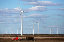 Tua-bin gió tại một nhà máy điện gió ở thành phố Colorado, Texas, vào ngày 21/01/2016. Năng lượng gió chiếm 8.3% lượng điện được tạo ra ở Texas trong năm 2013. (Ảnh: Spencer Platt/Getty Images)