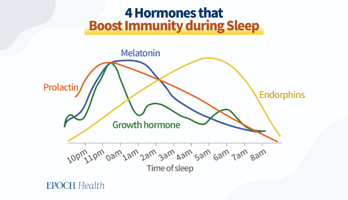 Hệ miễn dịch trở nên mạnh mẽ hơn trong khi chúng ta ngủ như thế nào?