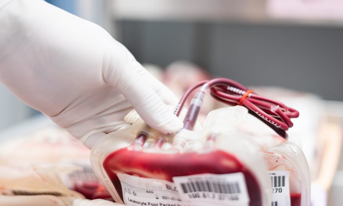 Trung Quốc: Ngân hàng máu lại cạn kiệt trong bối cảnh dịch bệnh bùng phát khắp nơi