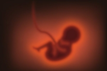 Một phụ nữ ở Myanmar đã đầu thai chuyển sinh thành con trai của người bạn thân. (Ảnh: Shutterstock)