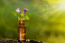 Liệu pháp chữa lành từ những cánh hoa (Ảnh: MAXSHOT.PL/Shutterstock)