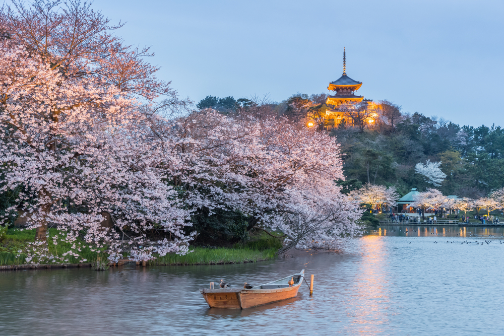 Vườn Sankeien, một khu vườn truyền thống kiểu Nhật ở Yokohama, Nhật Bản. (Ảnh: Shutterstock)