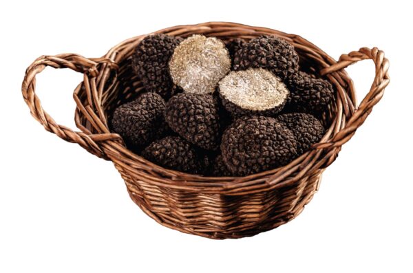 Nấm truffle đen Oregon hiếm hơn và lớn hơn một chút so với nấm trắng. (Ảnh: grafvision/Shutterstock)