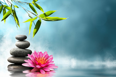 Phúc họa vô định, chỉ cần một tâm thiện lành