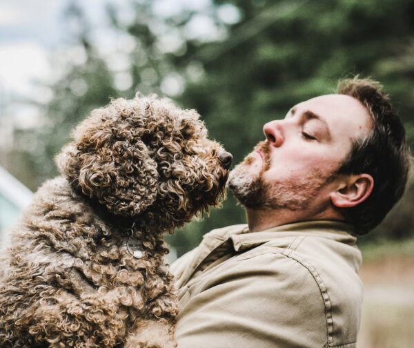 Giống chó Lagotto Romagnolo có thể ngửi thấy mùi nấm truffle đang chín dưới lòng đất, giúp người ta dễ dàng tìm thấy loại nấm này hơn. (Ảnh: Đăng dưới sự cho phép của anh Stefan Czarnecki)