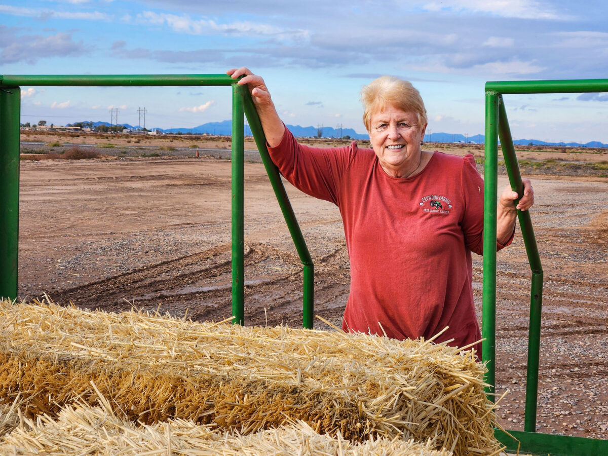 Nông dân trồng bông Nancy Caywood tại trang trại Caywood ở thành phố Casa Grande, tiểu bang Arizona, trèo lên một toa xe chất đầy cỏ khô hôm 07/12/2022. (Ảnh: Allan Stein/The Epoch Times)