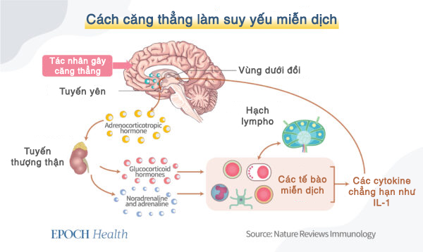 Trung Cộng đã khiến virus phát triển lan tràn như thế nào?