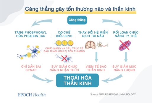 Trung Cộng đã khiến virus phát triển lan tràn như thế nào?