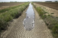 Nước tưới chảy dọc theo một con mương khô cạn giữa các ruộng lúa ở Richvale, California, vào ngày 01/05/2014. (Ảnh: Jae C. Hong/AP Photo)