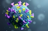 Hình minh họa 3D về một loại virus đột biến gây ra COVID-19. (Ảnh: James Thew/Adobe Stock)