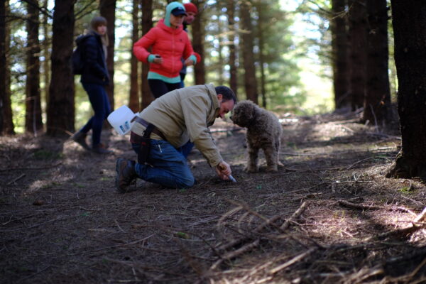 Tiểu bang Oregon tự hào có khí hậu, thổ nhưỡng phù hợp, và những loại cây phù hợp để nấm truffle phát triển. (Ảnh: Đăng dưới sự cho phép của anh Stefan Czarnecki)