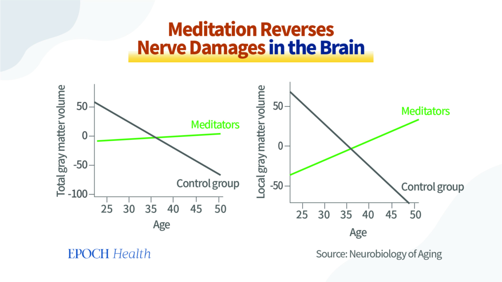 Hình 5 Thiền định đảo ngược tình trạng suy giảm thể tích vỏ não. (Nguồn: https://pubmed.ncbi.nlm.nih.gov/17655980/)