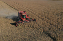 Ảnh chụp từ trên không từ một phương tiện bay điều khiển từ xa cho thấy một chiếc máy liên hợp đang được sử dụng để thu hoạch đậu tương trên một cánh đồng ở Rippey, Iowa, vào ngày 14/10/2019. (Ảnh: Joe Raedle/Getty Images)
