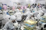 Công nhân sản xuất vi mạch Led tại một nhà máy ở Hoài An, tỉnh Giang Tô, miền đông Trung Quốc, vào ngày 16/06/2020. (Ảnh: STR/AFP/Getty Images)